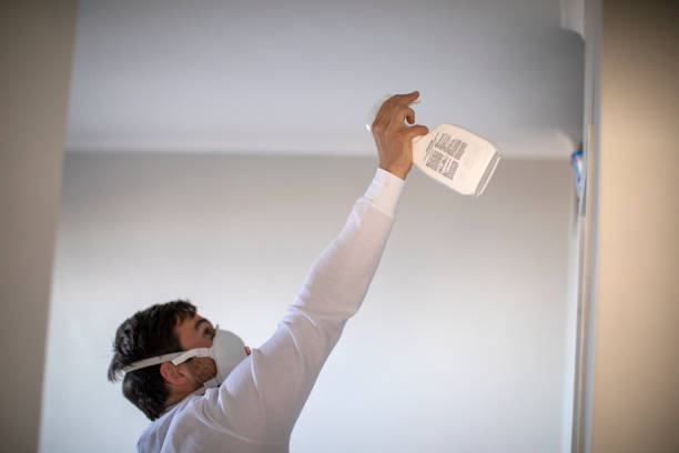 Best DIY Mold Remediation Support Services in Pine Island, TX